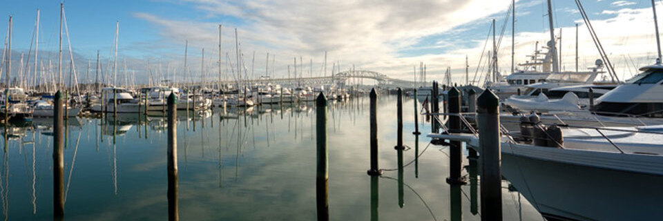 North Island, written over a picture of the Auckland harbor